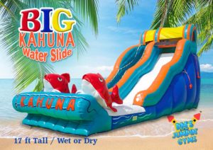 Big Kahuna Water Slide with big fish on the front.