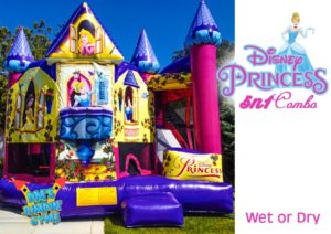 Pink & Purple Princess Themed Bounce House