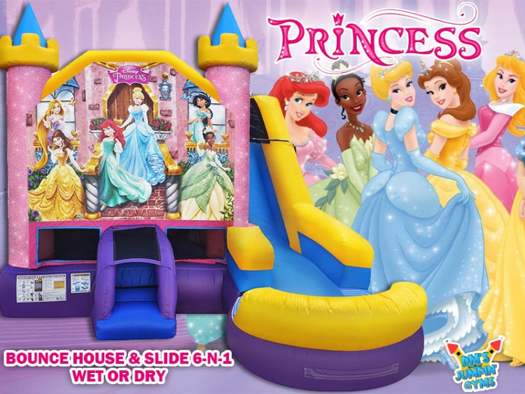 Disney Princess 6 N 1 Combo