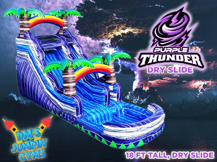18' Purple Thunder Slide (Dry)